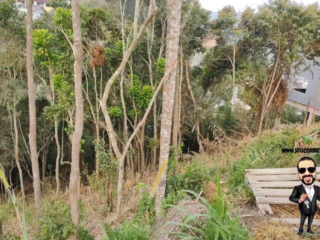 Área para Venda em Teresópolis - 4